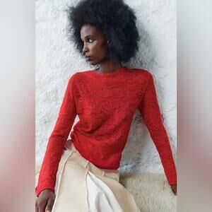 Zara Red ALPACA AND WOOL BLEND POINTELLE KNIT SWEATER